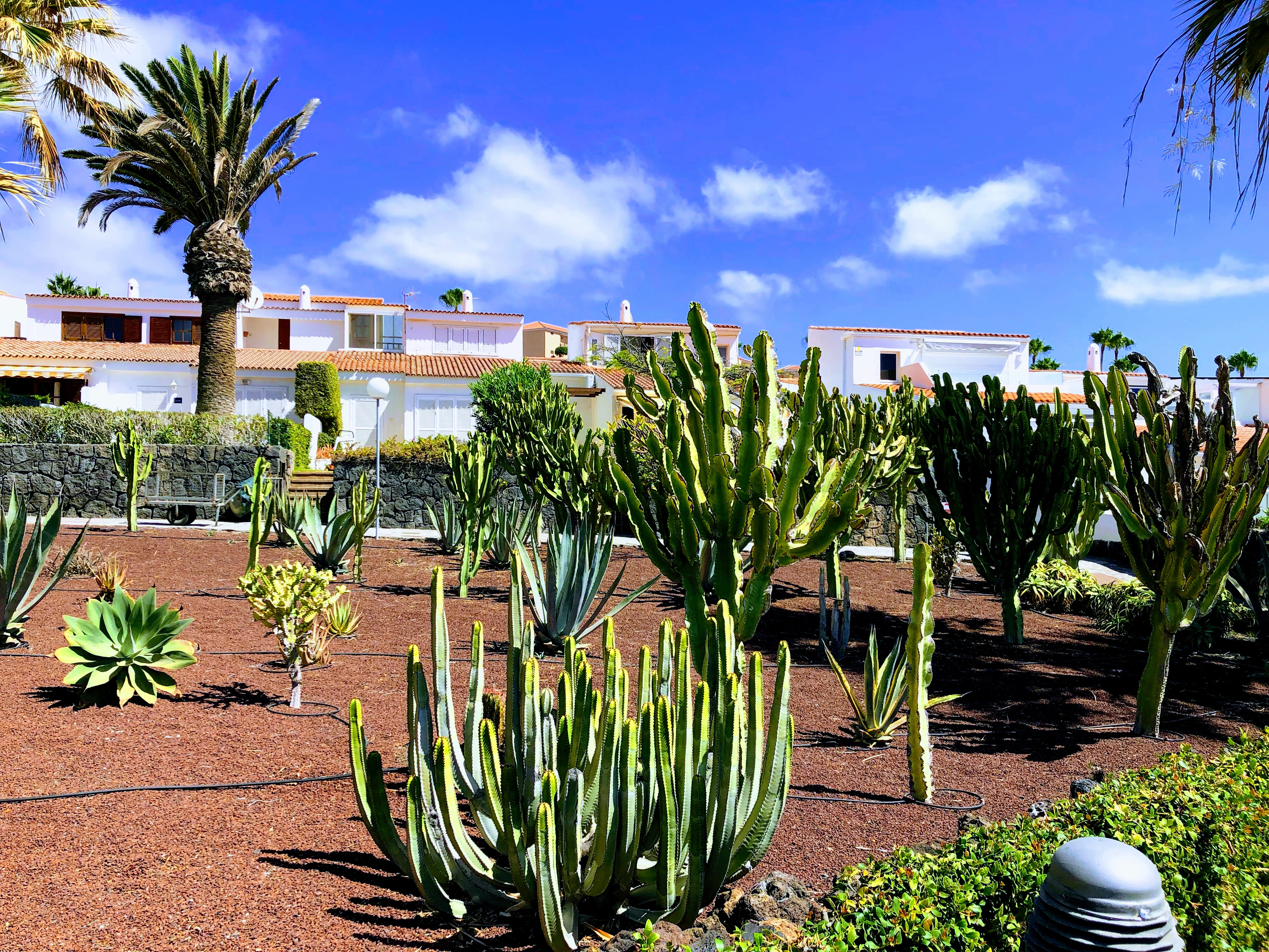 Környék bélyegkép 19