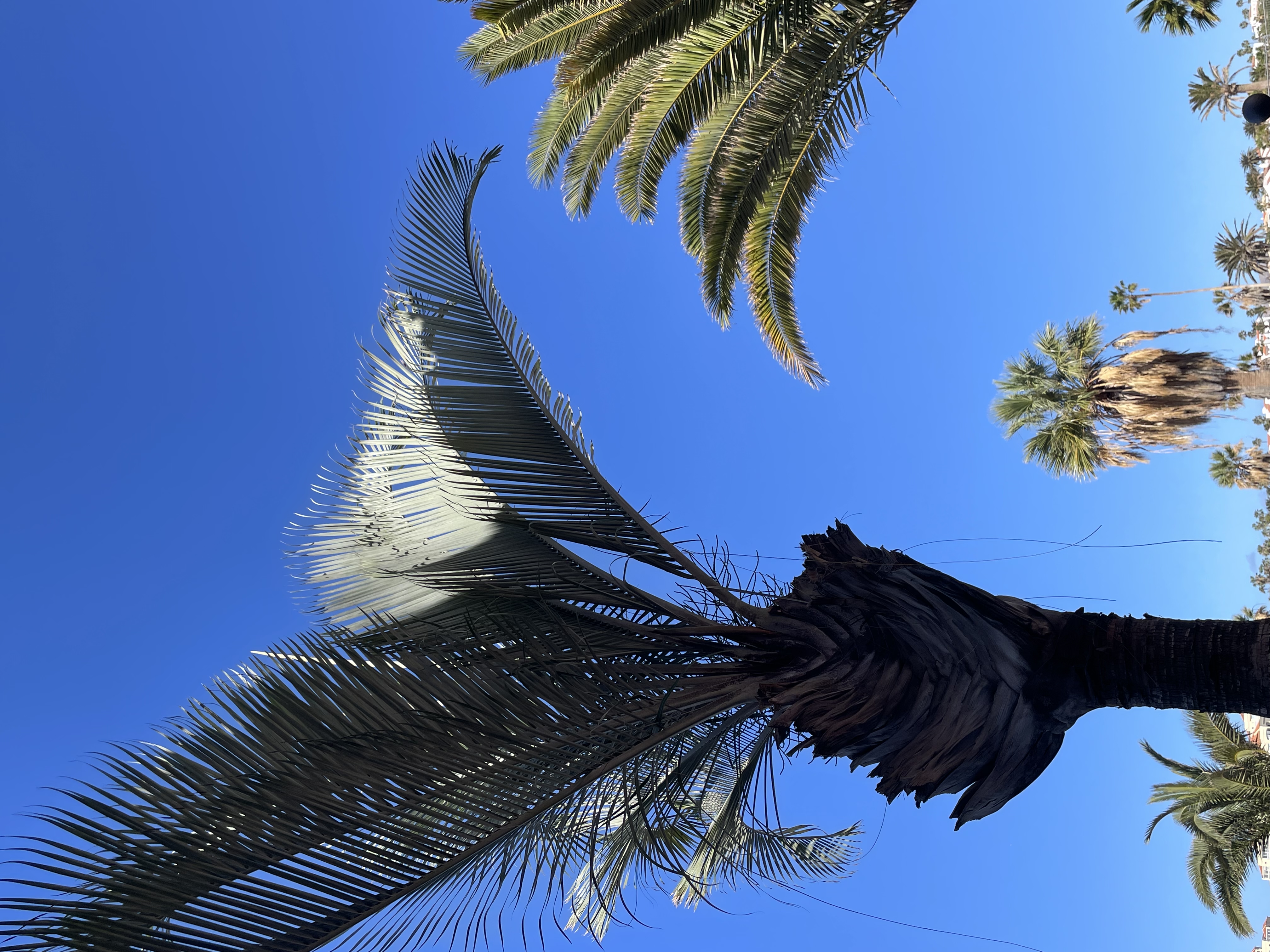 Apartman bélyegkép 25